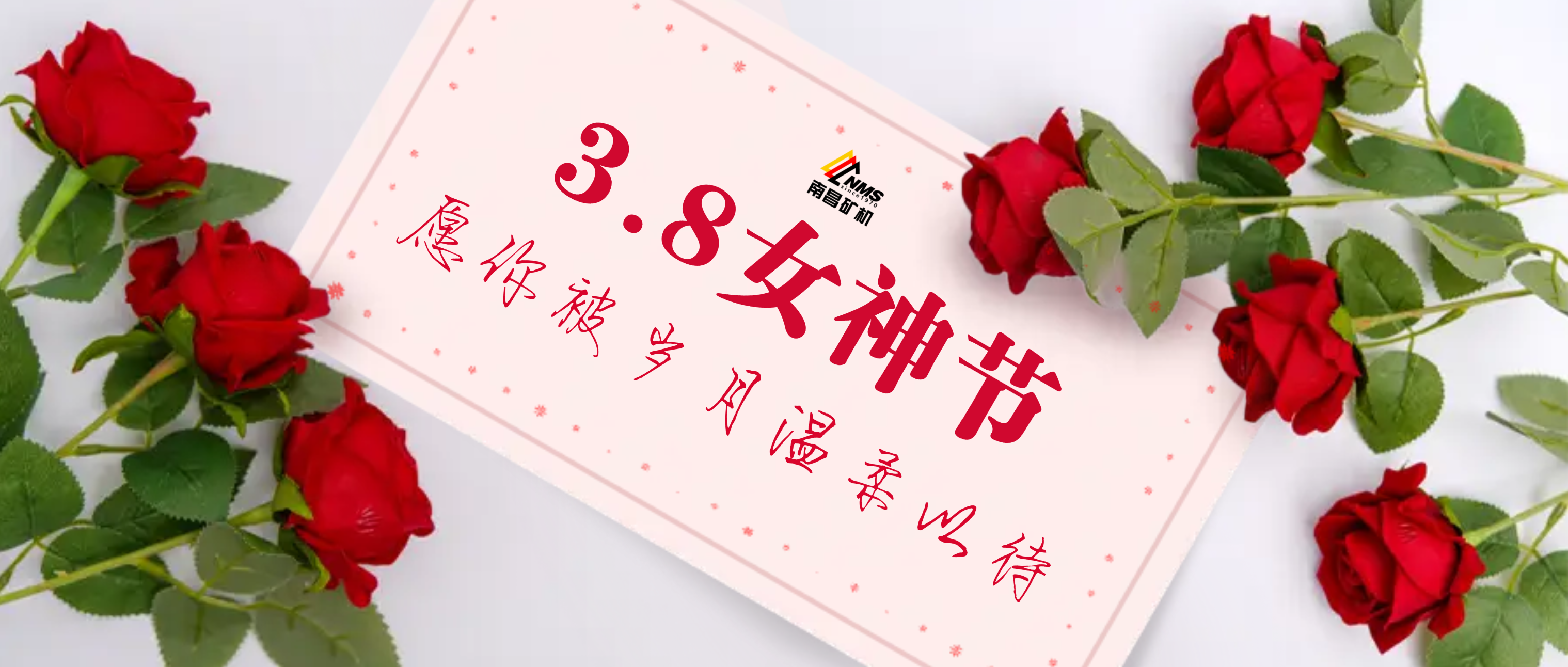 【南矿之眼】致敬了不起的女神们